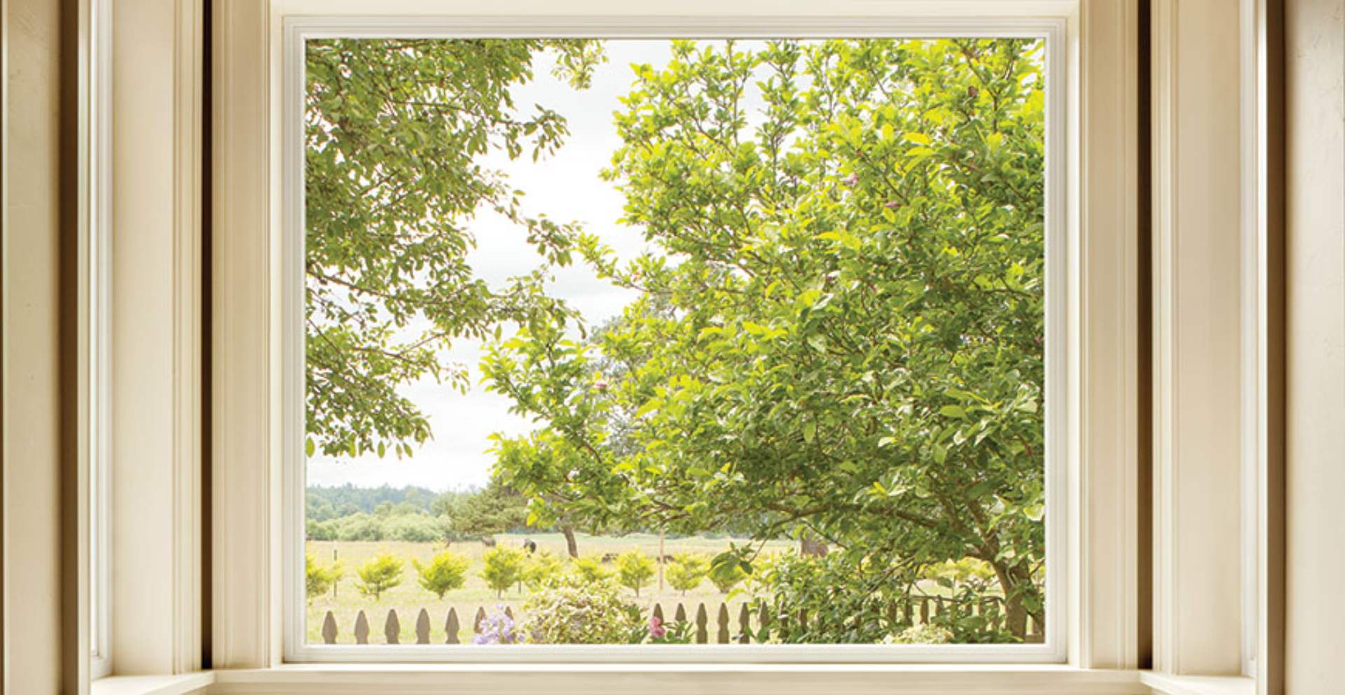 Picture Windows